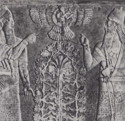 DNA OF THE GODS: The Anunnaki Creation of Eve and the Alien Battle for Humanity